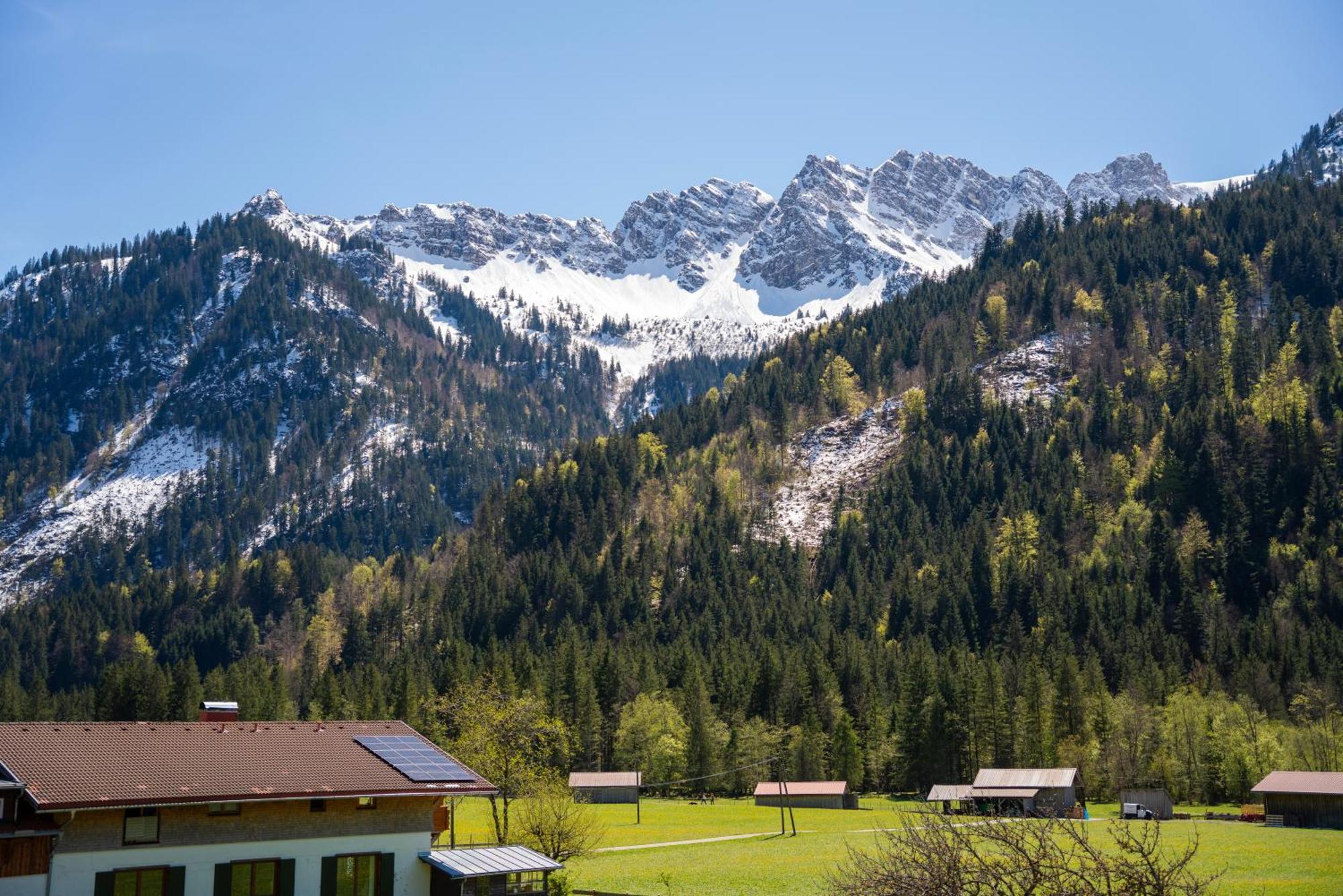 Haus Angelika Appartement Bad Hindelang Buitenkant foto